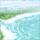 无耻家庭
